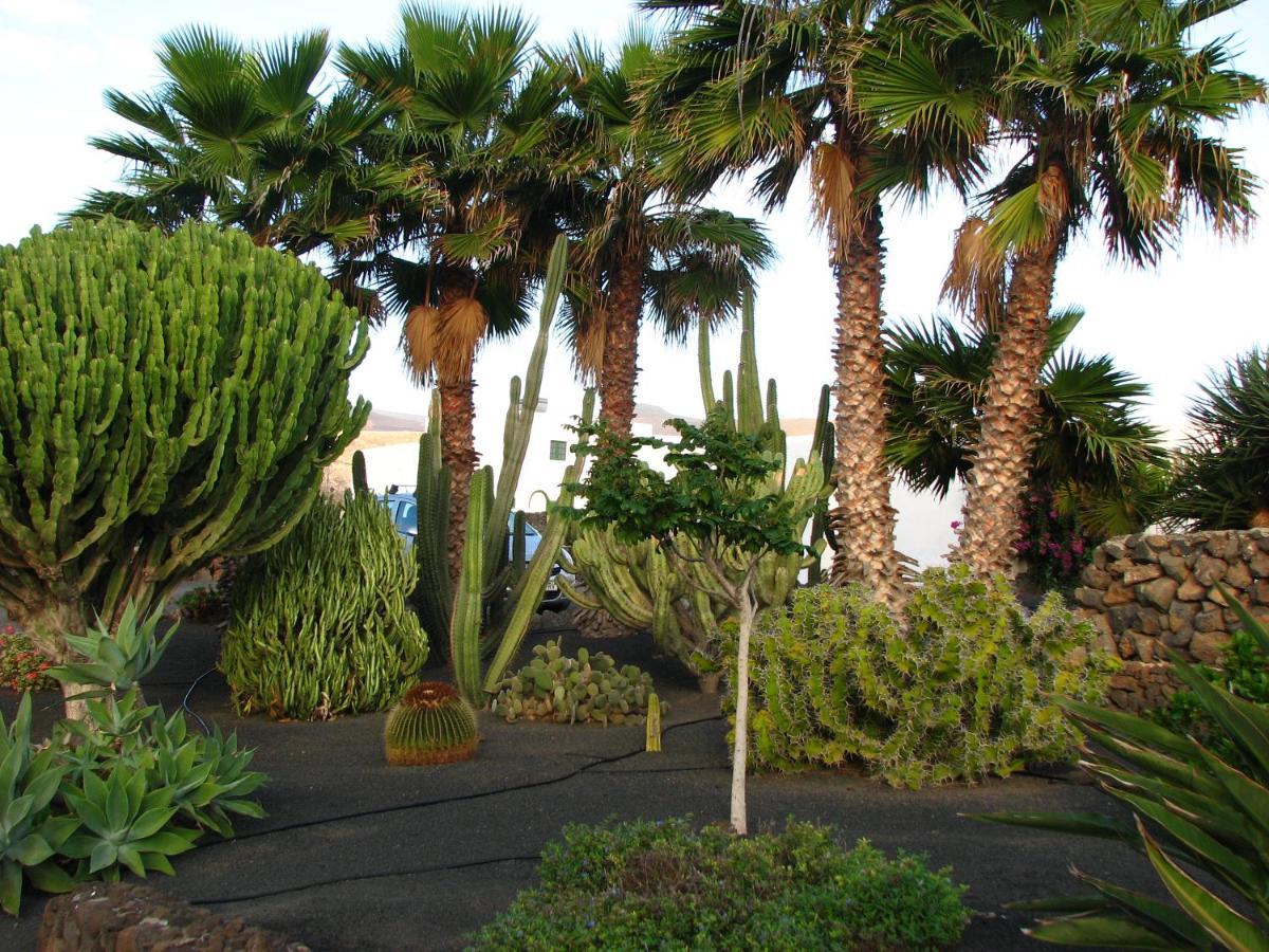 Casa Para Ti - Botanica Puerto del Carmen  Zewnętrze zdjęcie
